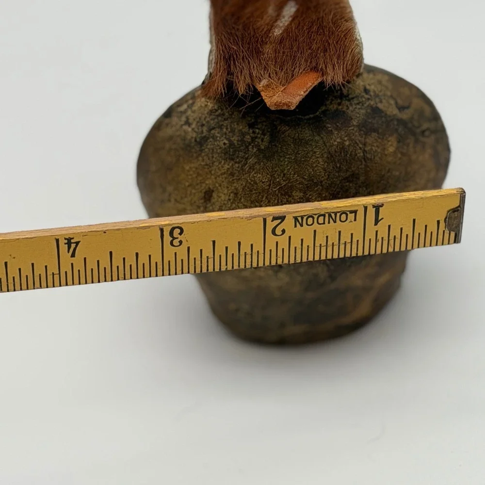 N/A measurements small